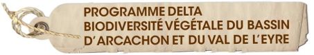 accder au site du Conservatoire Botanique National Sud-Atlantique